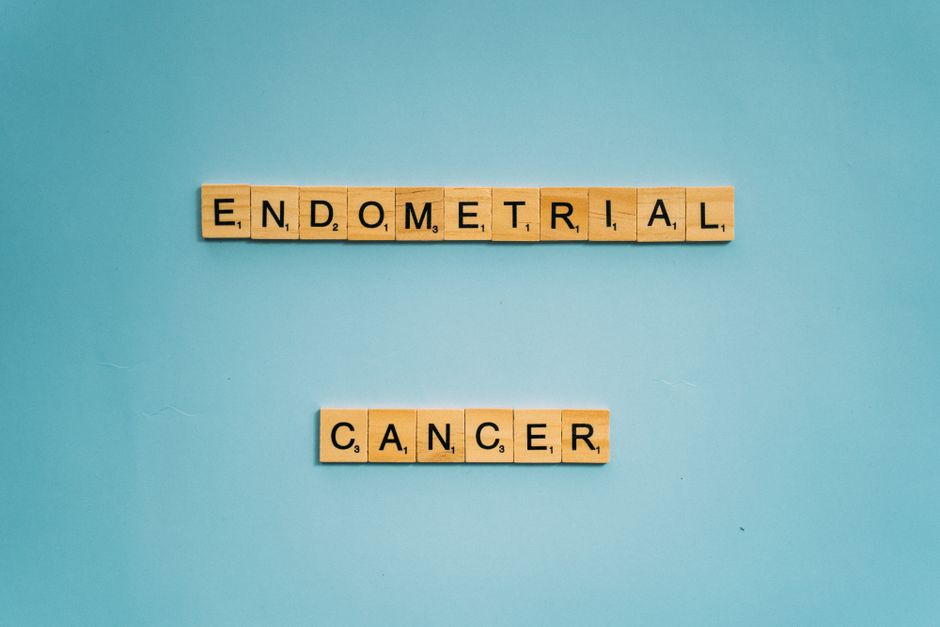 Wooden tiles spelling 'Endometrial Cancer' on a blue background promoting awareness.