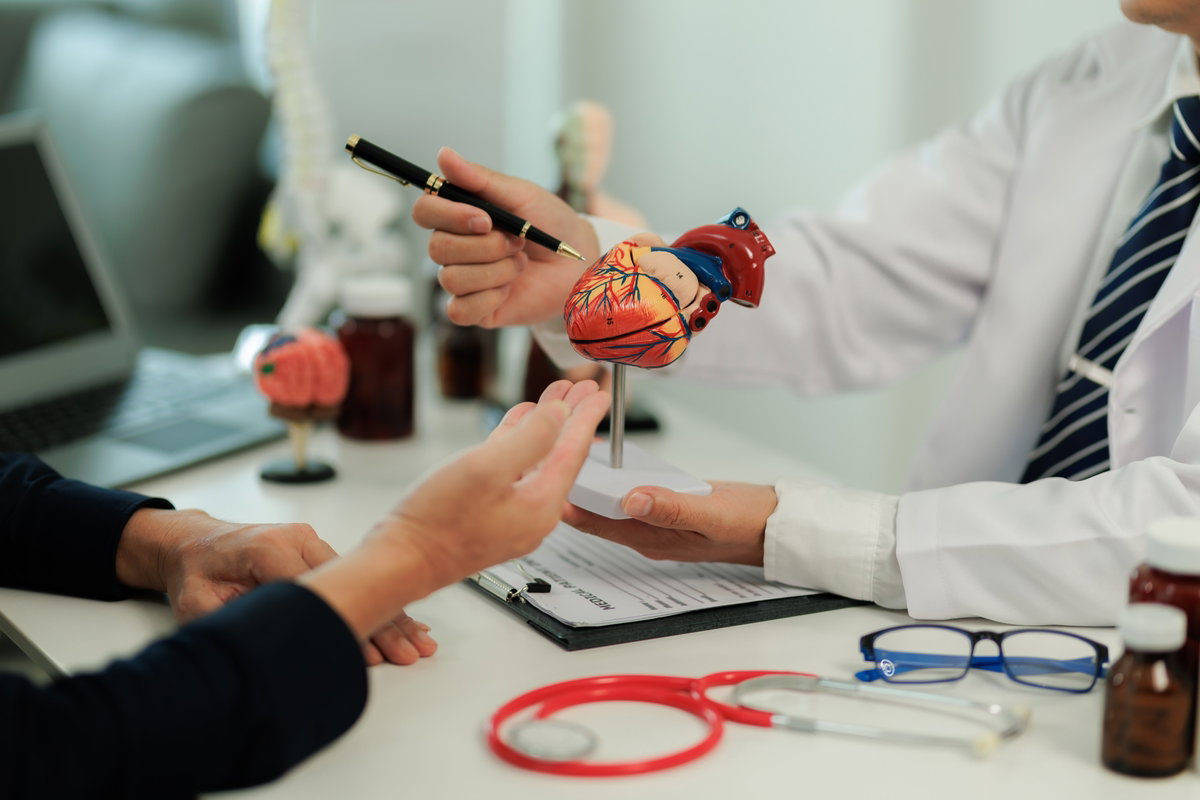 Sistema cardiovascular: estrutura, funções e doenças comuns